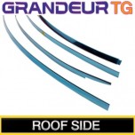 Боковой молдинг крыши (нерж.сталь)  - Hyundai Grandeur TG (KUMCHANG)