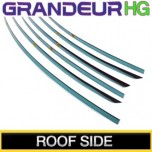 [KUMCHANG] Hyundai 5G Grandeur HG - Real Stainless Roof Side Molding Set
