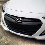 [MOBIS] Hyundai New i30 - TUIX Radiator Grill Cover Set