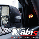[KABIS] Hyundai Santa Fe The Style -  Blind Spot Assist (BSA) Sensor Set (Interior)