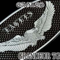 [ARTX] Hyundai Grandeur TG - Eagles Carbon Look Tuning Emblem Set