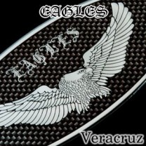 Эмблемы Eagles Carbon Look - Hyundai Veracruz (ARTX)