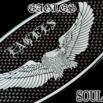 Эмблемы Eagles Carbon Look - KIA Soul (ARTX)