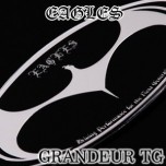[ARTX] Hyundai Grandeur TG - Luxury Eagles Tuning Emblem Set