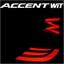 [EXLED] Hyundai New Accent Wit - Panel Lighting Brake LED Modules DIY Kit