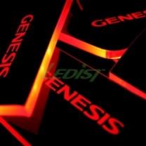 [LEDIST] Hyundai Genesis - LED Inside Door Catch Plates Set