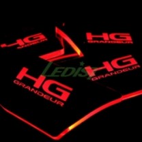 LED-вставки под ручки дверей - Hyundai Grandeur HG (LEDIST)