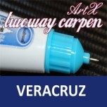 [ARTX] Hyundai Veracruz / ix55 - Repair Paint Twoway Car Pen Set