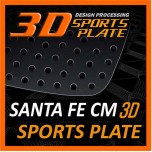 Накладки на задние стекла Sports Plate Circle - Hyundai Santa Fe CM (DXSOAUTO)