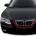 Решетка радиатора BMW Style - Hyundai NF Sonata Transform (MORRIS)