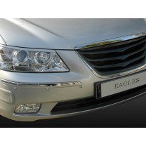 Решетка радиатора Eagles (КАРБОН) - Hyundai NF Sonata Transform (ARTX)