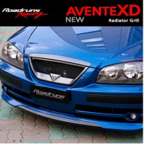 Решетка радиатора - Hyundai New Avante XD (ROADRUNS)